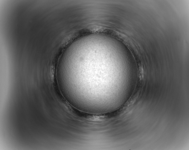 X0000096970664200802221404