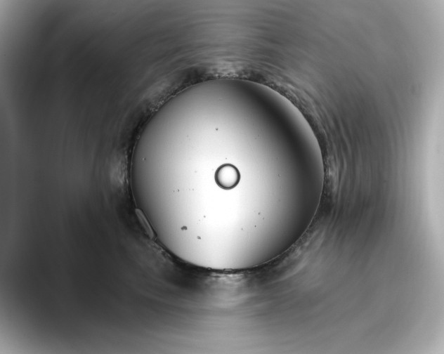 X0000096970665200802221404