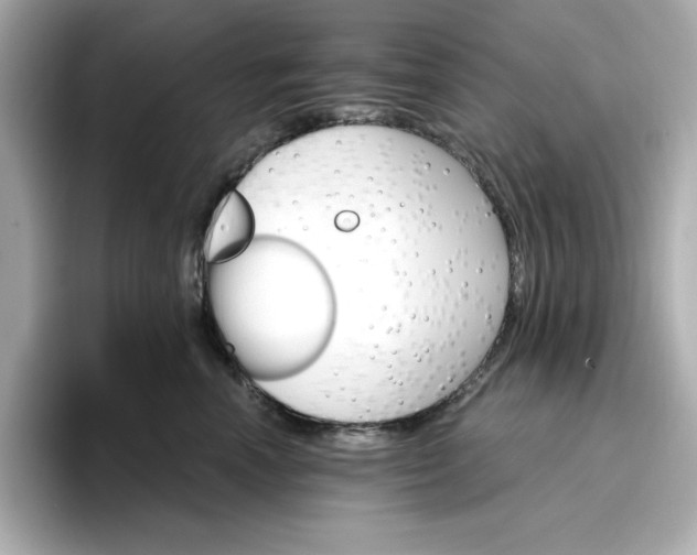 X0000096970666200802221404