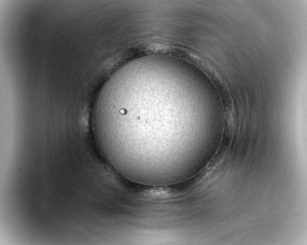 X0000096970668200802221404