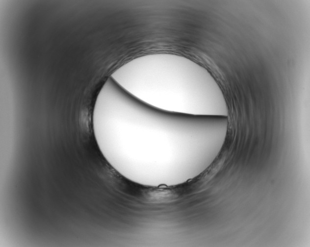 X0000096970669200802221404