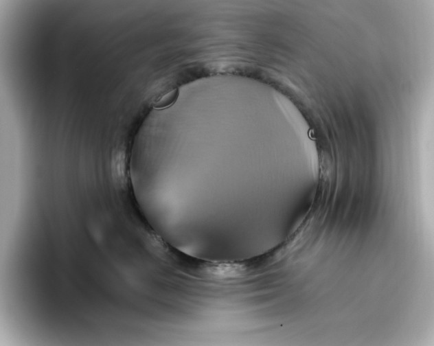 X0000096970670200802221404