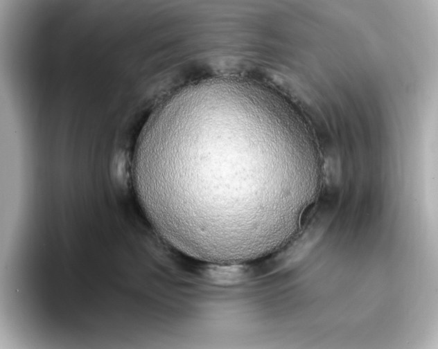 X0000096970671200802221404