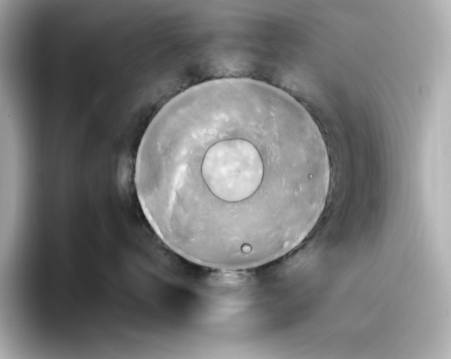 X0000096970672200802221404