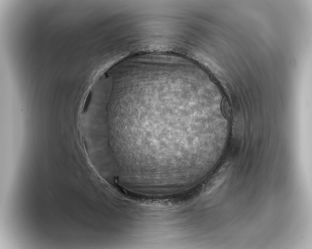 X0000096970673200802221403