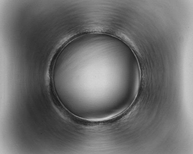 X0000096970674200802221403