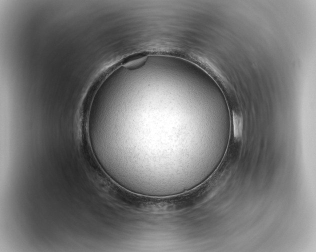 X0000096970675200802221403