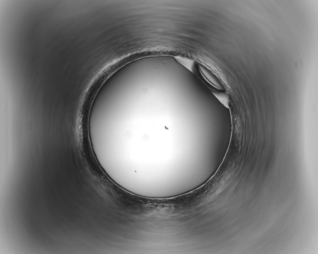 X0000096970676200802221403