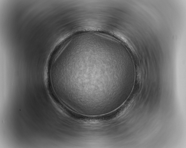 X0000096970677200802221403