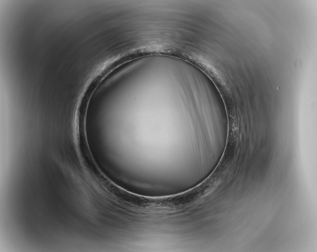 X0000096970678200802221403