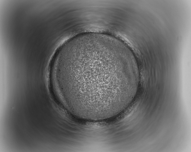 X0000096970679200802221403