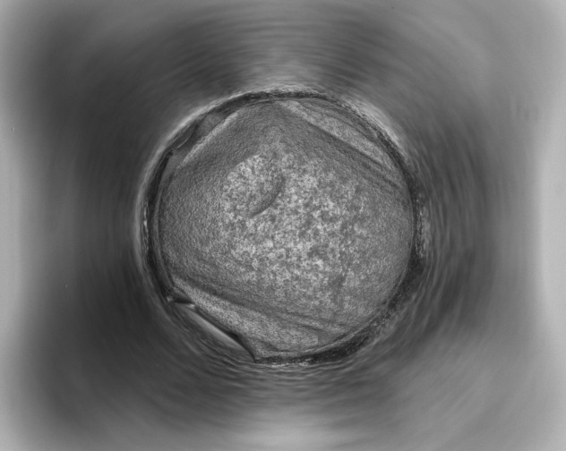 X0000096970680200802221403