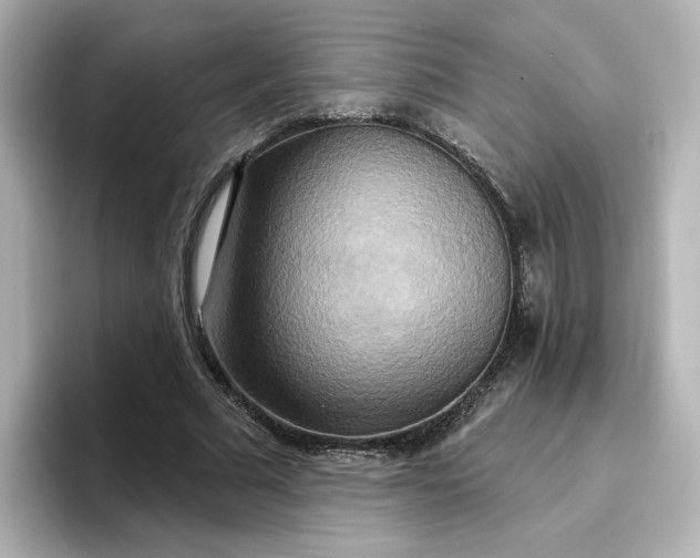 X0000096970681200802221403