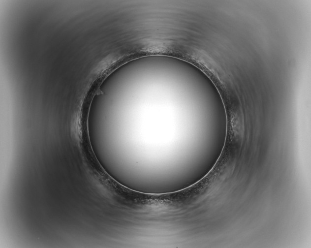 X0000096970682200802221403