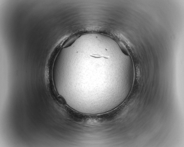 X0000096970684200802221403