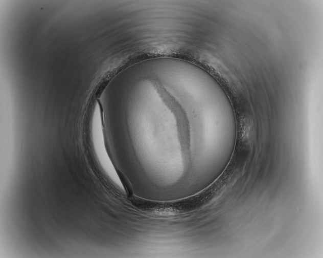 X0000096970685200802221403