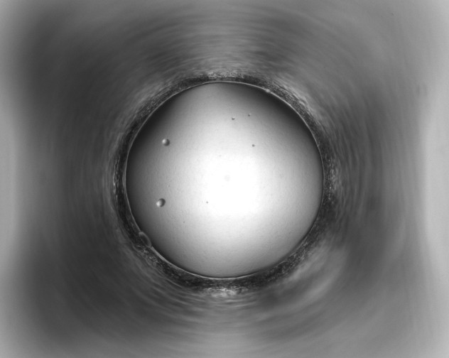 X0000096970687200802221403