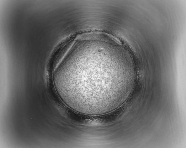 X0000096970688200802221403