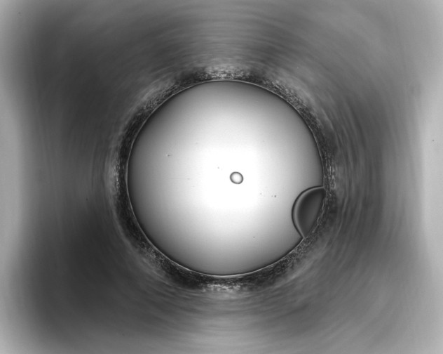 X0000096970690200802221403