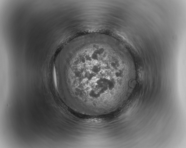 X0000096970691200802221403