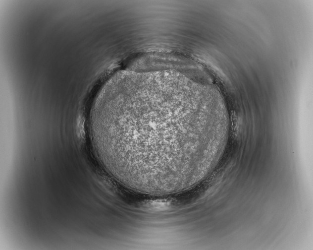 X0000096970692200802221403