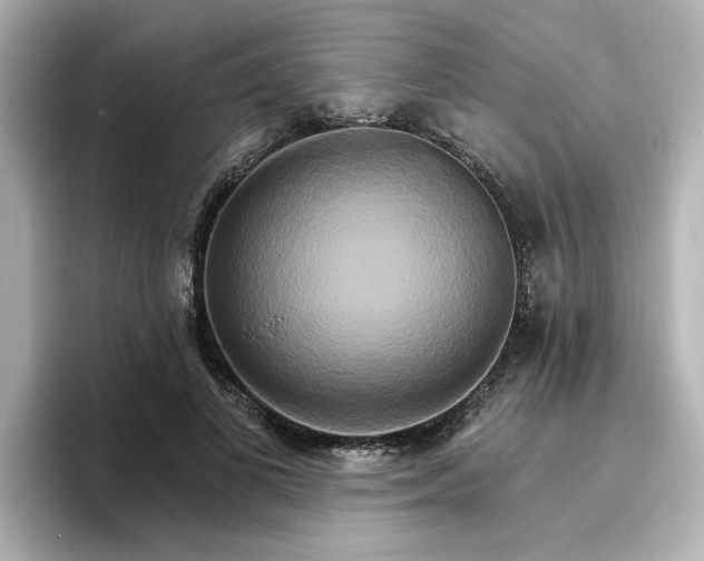 X0000096970693200802221403