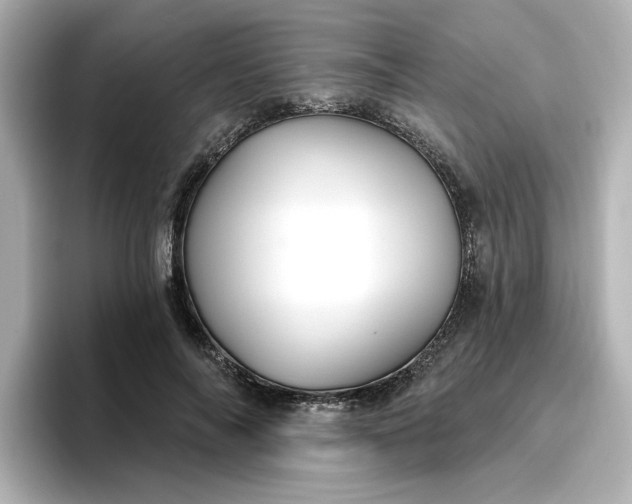 X0000096970694200802221403