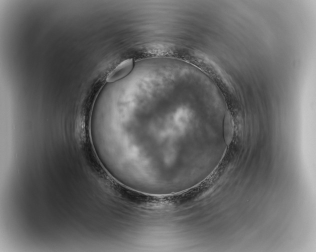 X0000096970696200802221403