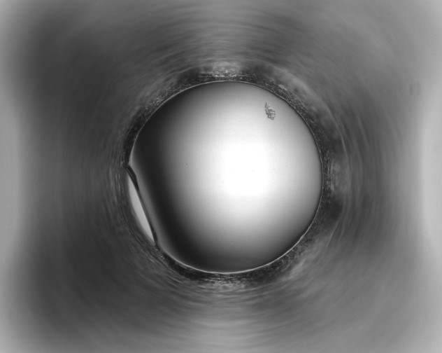 X0000096970697200802221403