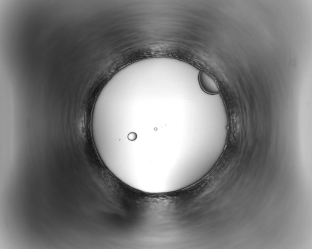 X0000096970698200802221403