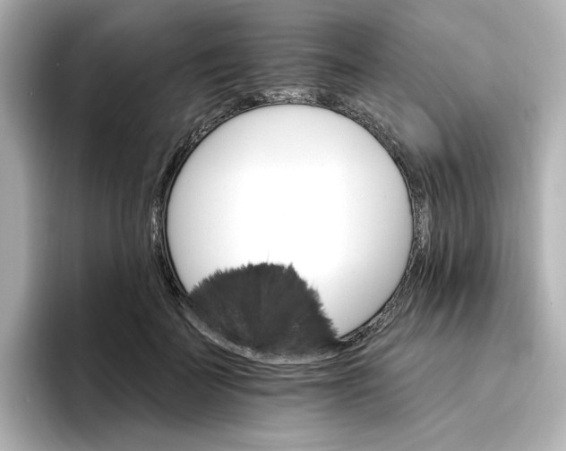 X0000096970699200802221403