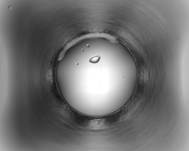 X0000096970700200802221403