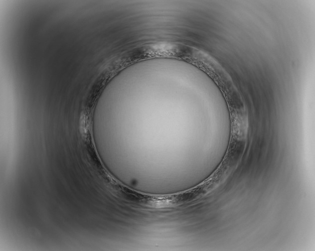 X0000096970701200802221403