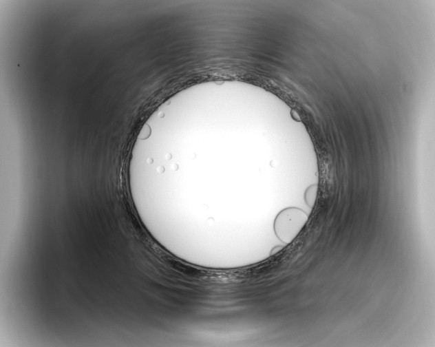 X0000096970702200802221403