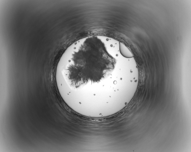 X0000096970703200802221403