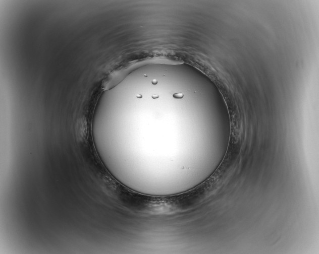 X0000096970704200802221403