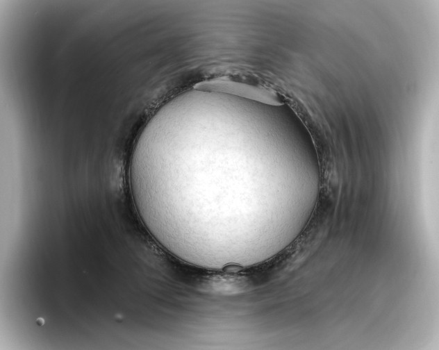 X0000096970708200802221403