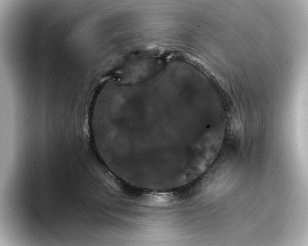 X0000096970711200802221403