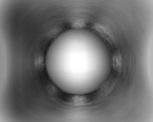 X0000096970714200802221402