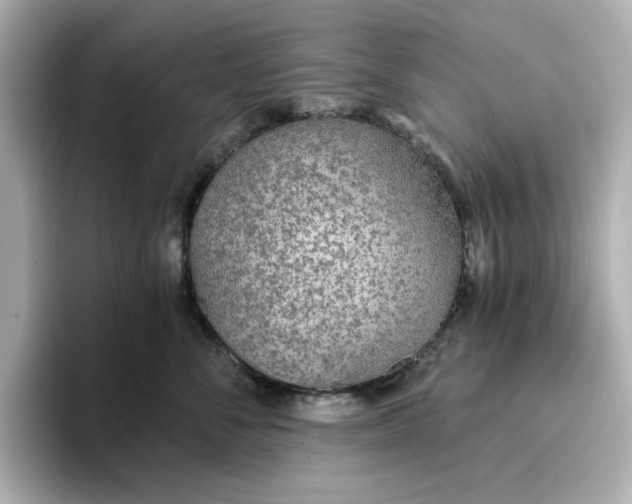 X0000096970716200802221402