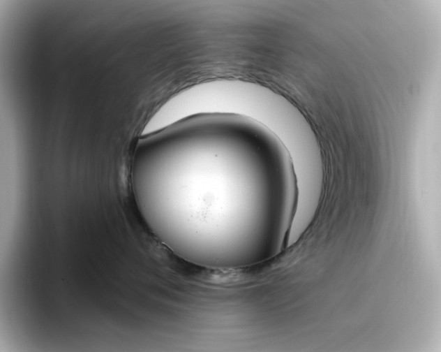 X0000096970720200802221402