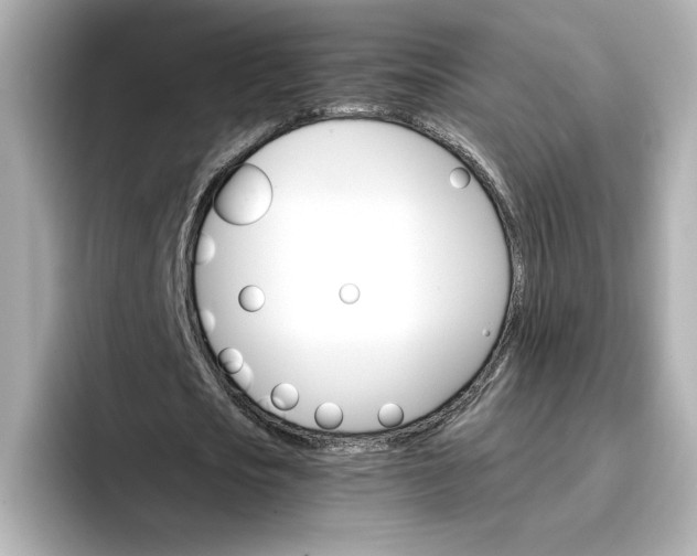 X0000096970721200802221402