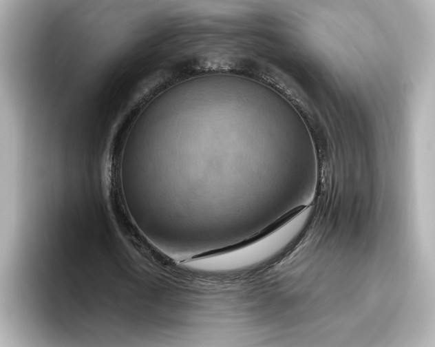 X0000096970722200802221402