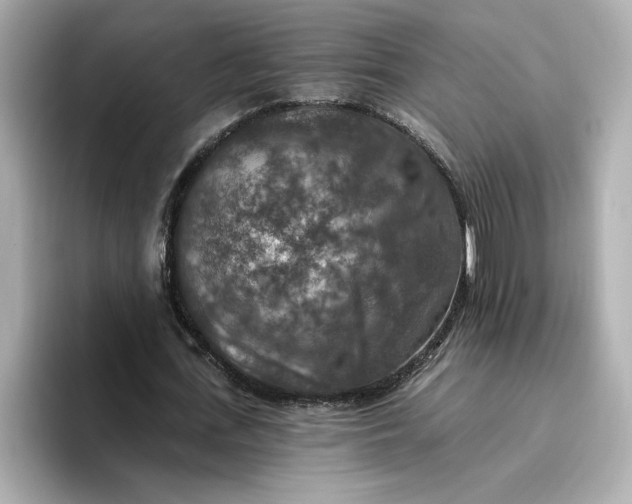 X0000096970723200802221402