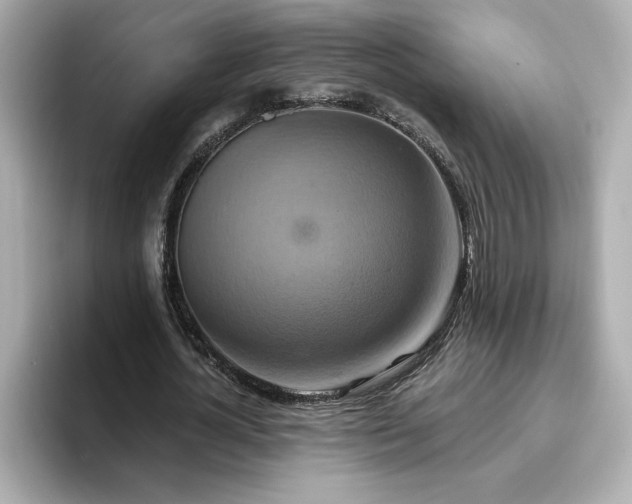 X0000096970724200802221402