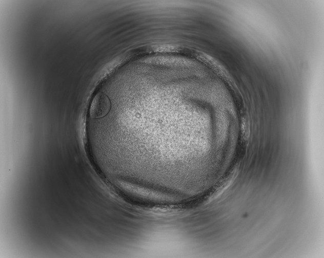 X0000096970725200802221402