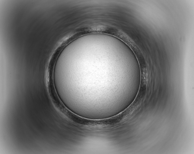 X0000096970726200802221402