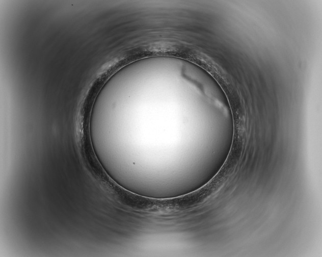 X0000096970727200802221402