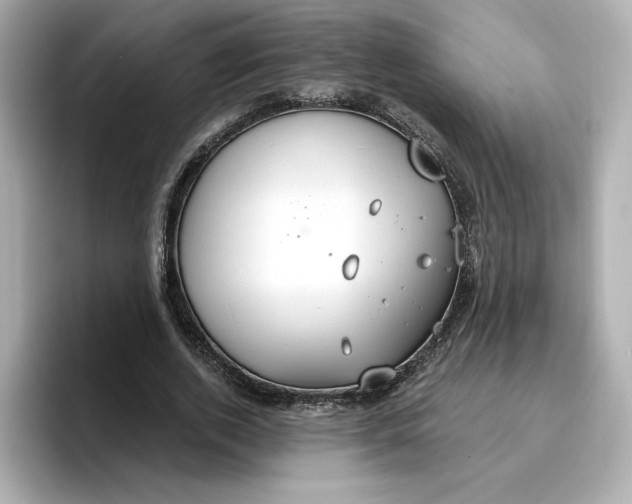 X0000096970728200802221402