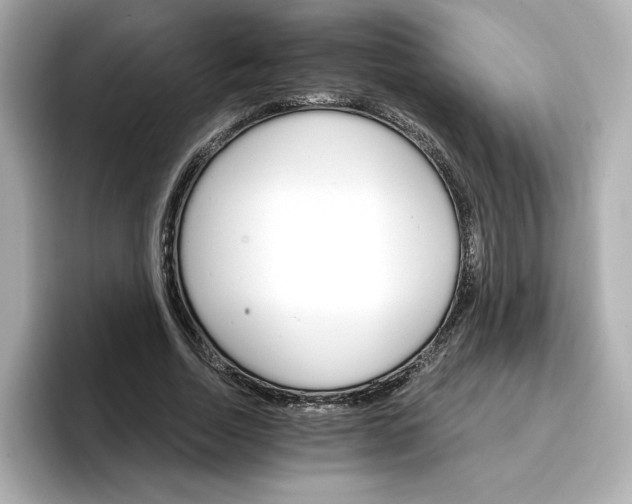 X0000096970730200802221402